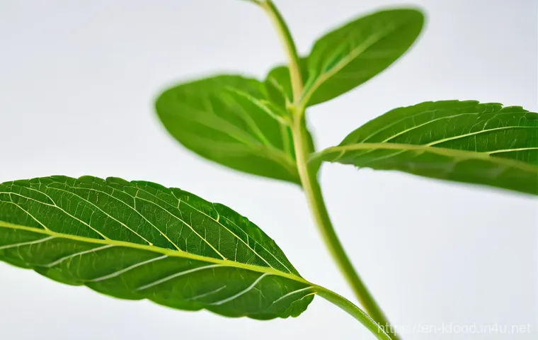 한식 채식 밀키트 - Here are three detailed image prompts in English, based on the provided text: